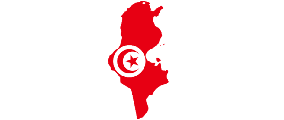 tunisian_survey