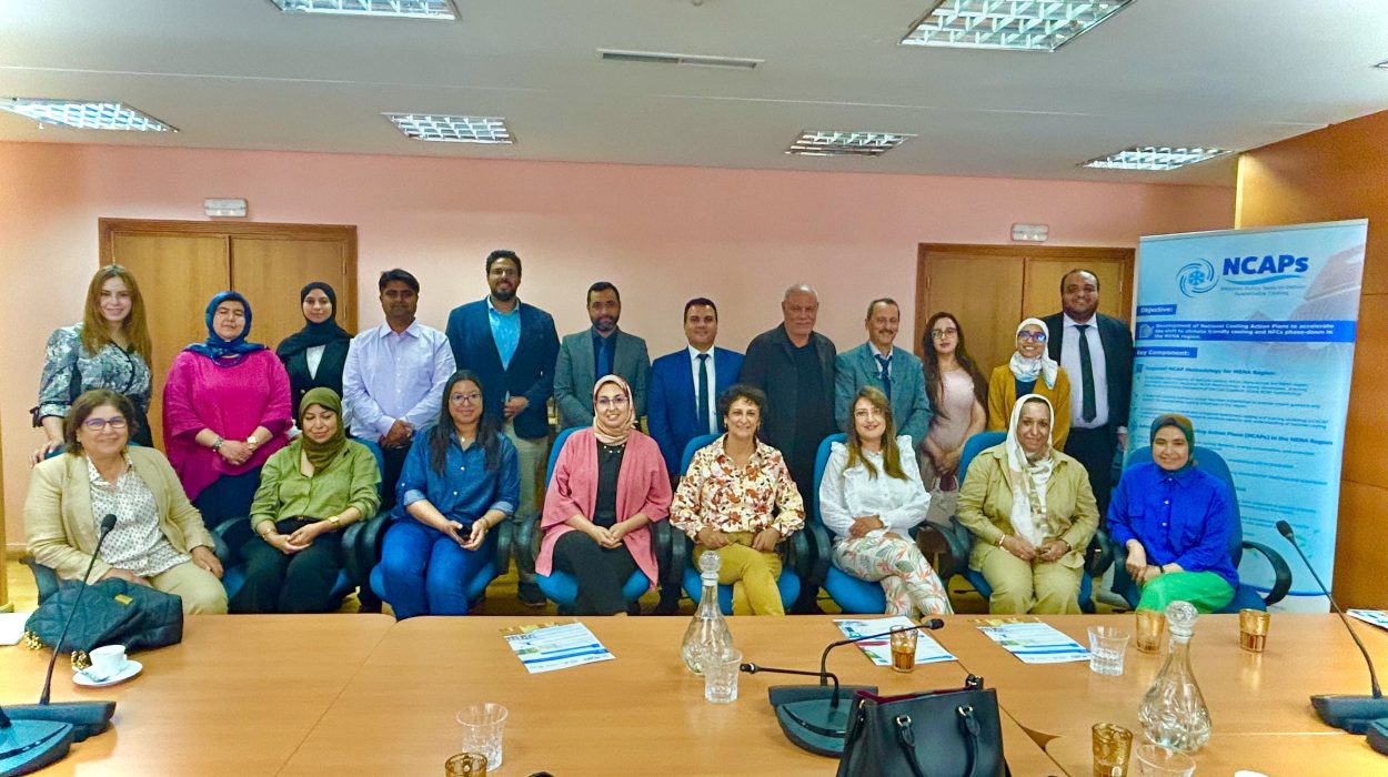 Morocco’s National Steering Committee to Drive NCAP Forward